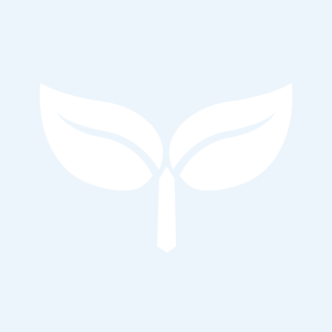 32WIN